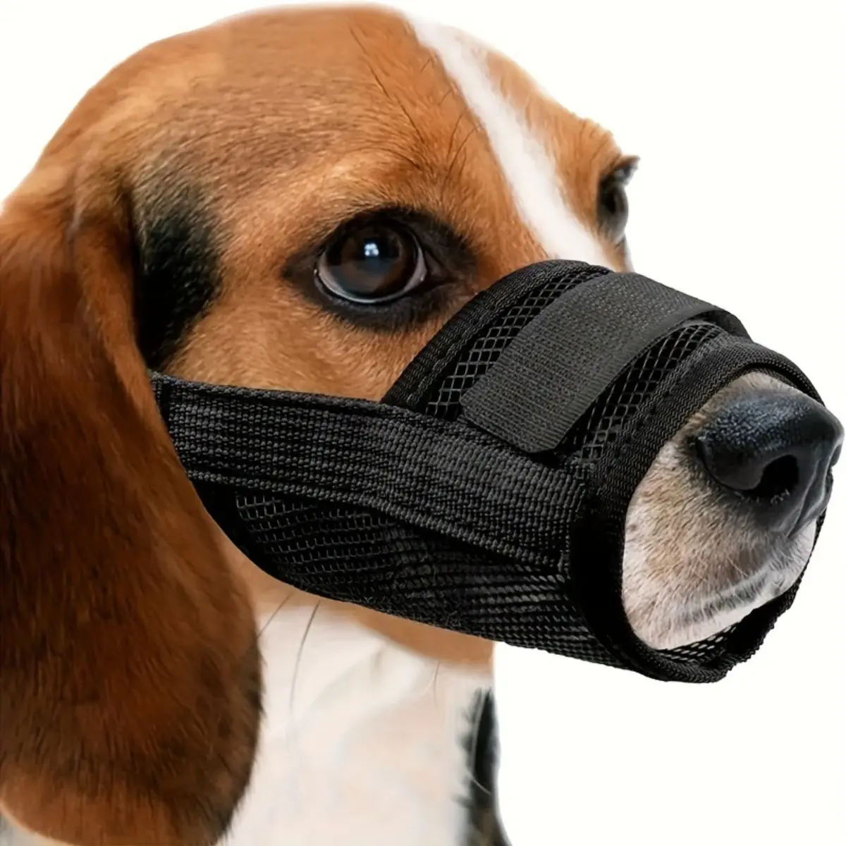 kf-S654ebb2a5f664ce9a24926d0b7bef815j Pet Dog Mouth Mask Anti Snacking Mouth Cover Anti Barking Anti Biting Breathable Mesh Anti Licking Mouth Cover - Image 1