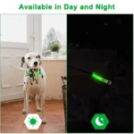 LED Luminous Collar Adjustable Glowing Dog Collar USB Rechargea Flashing Anti-Lost/Avoid Car Accident Collar Dogs Pet Products - Image 5
