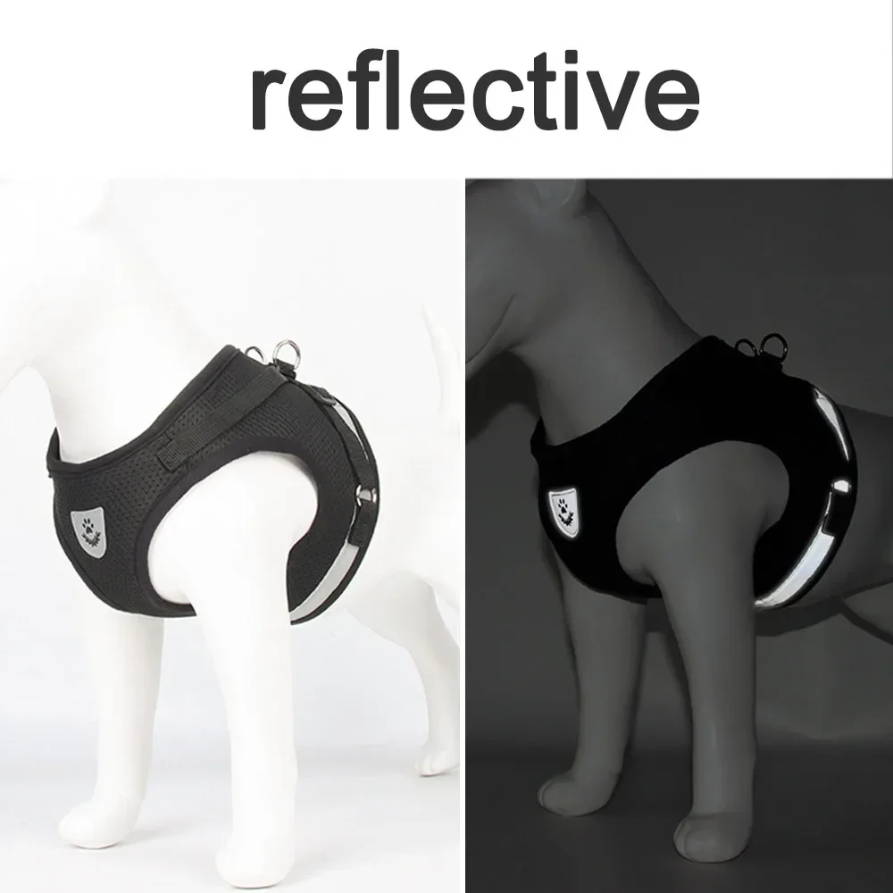 Cat Harness with Leash