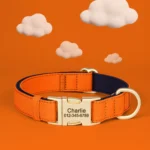 Personalized Dog Collar Waterproof Nylon Dog Collars Soft Padded Pet Necklace Free Engraved for Small Medium Large Dogs Pitbull - Image 4