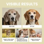 100g Bacon Flavored Pet Health Supplement Elderly Dog Maintenance Joint Intestinal Skin Care Dog Probiotics Immune Support Agent - Image 4