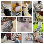 Pet Dog Vest Puppy Clothes Summer Cotton Bear Print T-Shirt Striped Dog Shirt Girls Dog Costume Chihuahua Korean Style Clothing - Image 2