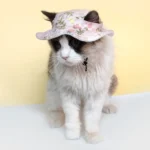 Fashion Adjustable Pet Sun Hat Breathable Outdoor Cat Sunscreen Hat Travel Cat Dog Pet Fisherman Hat - Image 4