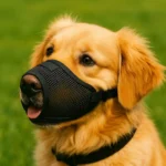 New Dog Muzzle Anti-bite Prevent Eating Indiscriminately Dog Masks Medium-sized Dog Pet Muzzle Dog Muzzle Pet Supplies