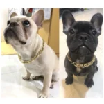 Gold Plastic Plated Collars for Dogs Electroplated Dog Chain for Pitbull Fashion Jewelry Dog Accessories for French Bulldog - Image 4