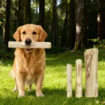 1 PC Natural Coffee Wood Dog Chew Stick Durable Dental Teeth Cleaning Molar Toy for Pet Small Large Dogs Stress Relief Teething