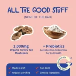 Daily Feeding Probiotic Mixed with Turkey Tail Extract Optimize Pet Intestinal Environment Boost Immunity for Cats and Dogs Use - Image 4