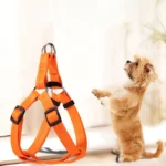 NEW Adjustable Dog Vest Harnesses Puppy Training Universal Cat Harness Breathable Pet Leash Pet Supplies - Image 2