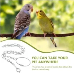 Stainless Steel Parrot Chain Leash Bird Foot Harness for Outdoor Flying Training Portable Lightweight Rust Resistant Wear Proof - Image 5