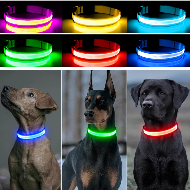 kf-S6f4b563a2b1d4d7caf2374efc270020dZ LED Luminous Collar Adjustable Glowing Dog Collar USB Rechargea Flashing Anti-Lost/Avoid Car Accident Collar Dogs Pet Products - Image 1