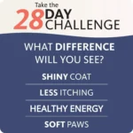 200ml Salmon Fish Oil for Pets, 21 Omega Fatty Acids, Natural Nutritional Supplement for Dogs and Cats - Image 4