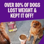 CORE Dry Dog Food, Small Breed, Grain Free, High Protein, Natural, Healthy Weight Turkey & Chicken Recipe, (12-Pound Bag) - Image 7