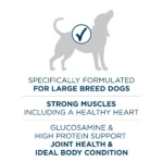 Plus Dry Large Breed Adult Dog Food with Real Chicken Protein Natural Flavor 40lb Bag - Image 5