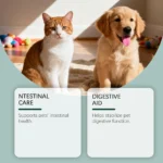Dog Joint Supplement Liquid Collagen For Pain Relief Supports Gut Health & Overall-Vitality For Senior Dogs For Hip And Joint - Image 5