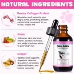 60ml Collagen Drops for Dogs Ginger Digestive & Immunity Support Skin Coat Liquid Supplement for Hips Joints Allergy Relief - Image 3