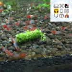 1 Bag 35g Crystal Red Shrimp Food Natural Spinach Mixed Ingredient Aquarium Fish Tank Aquarium Shrimp Food