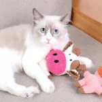 Cute Plush Toys Squeak Pet Cow Rabbit Animal Plush Toy Dog Chew Squeaky Whistling Involved Squirrel Dog Toys - Image 3
