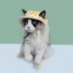Fashion Adjustable Pet Sun Hat Breathable Outdoor Cat Sunscreen Hat Travel Cat Dog Pet Fisherman Hat - Image 2