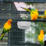 Bird Bath Cage Covered Semi Transparent Detachable Easy Small Birds Canary Parrot Bath Shower Bathing Bowl