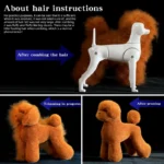 Teddy Pet simulation hair beauty fake beautician practicing dog standard Teddy full body fake head, skeleton model,pet groomer - Image 2