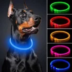 3 Modes Usb Dog Luminous Charge Collar Led Cat Dogs Collars Detachable Night Led Glow Dog Loss Prevention Collar Pet Accessories