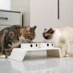 Elevated Pet Dog Feeder Bowls Raised Stand with Double Stainless Steel Food Water Bowls For Small Medium Large Dogs Cats - Image 3