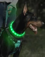 Lightweight USB Rechargeable Collar for Large Medium and Small Dogs, Glowing Dog Collar, 9 Flashing Modes, Soft Silicone Glowing - Image 5