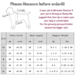 Pet Dog Vest Puppy Clothes Summer Cotton Bear Print T-Shirt Striped Dog Shirt Girls Dog Costume Chihuahua Korean Style Clothing - Image 6