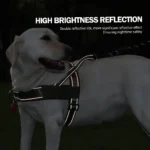 Heavy Duty No-Pull Dog Harness for Dogs - Reflective Lightweight Saddle Vest Pet Collar with Padded Straps Anti-Escape Design - Image 3