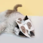 Fashion Adjustable Pet Sun Hat Breathable Outdoor Cat Sunscreen Hat Travel Cat Dog Pet Fisherman Hat - Image 5