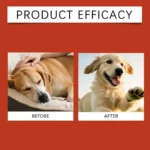 100G 1/2/3PCS Dog Probiotic Soft Granules For Gut Health-Gentle Nourishment Promotes Smooth Digestion Boost Absorption Supports - Image 6