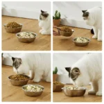 Large Capacity Dog Bowl Stainless Steel Pet Feeding Bowl Cat and Dog Food Drinking Bowl Metal Feeder Bowl Durable and Cheap - Image 3