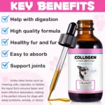 60ml Collagen Drops for Dogs Ginger Digestive & Immunity Support Skin Coat Liquid Supplement for Hips Joints Allergy Relief - Image 2