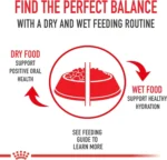 Royal Canin for Small Adult Dry Dog Food Size Health Nutrition 4 lb Bag - Image 3