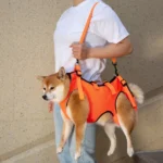 Summer Dog Lift Harness,Dog Assistance Strap,Adjustable Pet Support & Rehabilitation Sling Lift,for Joint Injuries,Disabled Dogs - Image 3