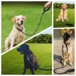1.5M/2M/3M Nylon Dog Leash for Walk the Dog Strong Leash for Dogs Pet Supplies Small Medium Large Dog Chain Pull Rope Chihuahua - Image 2