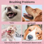 Elastic Soft 3-Sided Pet Toothbrush Dog Toothbrush Removing Bad Breath Tartar Cleaning Mouth Pet Dental Care Cat Cleaning New - Image 5