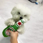 Simulated Beer Bottle Plush Dog Toy with Squeaky BB Sound Interactive Bite Resistant Pet Toy for Teeth Cleaning And Molar Relief - Image 4