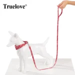 Truelove Floral Pet Leash Spring Design Small Boys Girls Dogs Cats Lihgtweight Rope Running Training Dog Leash Polyester TLL3113 - Image 6