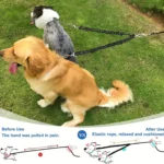 Pet Dog Double Leashes - No Tangle Dog Leash Coupler, Comfortable Shock Absorbing Reflective Bungee Lead for Nighttime Safety - Image 5