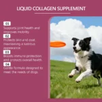 Dog Collagen Nutritional Drops Joint Skin Bone Hip Immune Health Support Supplement Boost Vitality Immune Whole Body Canine Care - Image 2