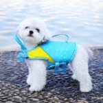 Dog Life Jacket with Removable Front Float Adjustable High Flotation Life Vest Swimsuits for Small Medium Large Dogs Swimming - Image 2