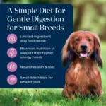 Basics Small Breed Adult Dry Dog Food with Turkey Formula Grain Free 4lb Bag - Image 4