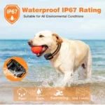 3300Ft Electric Dog Training Collar Remote Control Waterproof Pet BehaviorFor 5-120lbs Puppy With Shock Vibration - Image 10