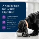 Basics Grain Free Adult Wet Dog Food, Skin and Stomach Care, Turkey, 12.5oz Can - Image 4