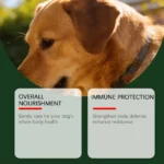 Dog Nutrition Powder Promote Digestion Balance Gut Flora Boost Vitality Improve Health Support Immune System Daily Easy Absorb - Image 3
