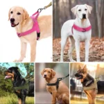 Explosion-Proof Tactical Harness Dog Traction Large Dog Collar Vest Style Golden Retriever Dog Walking Traction Vest - Image 8