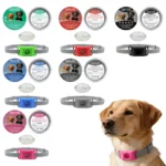 Pendant Flea And Tick Pendant For Dogs Natural Ingredients Against And Ticks. (Green One Size Fits All) Leopard Bow Tie Dog