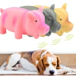 1PC Rubber Sound Pig Grunting Squeak Latex Pet Chew Toys for Dog Squeaker Chew Training Puppy Supplies Pet Products - Image 3