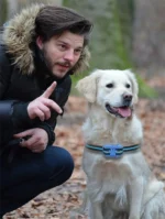 USB Electric Dogs Training Collar Ultrasonic Pet Dog Anti Barking Stop Barking Vibration Anti Bark Waterproof Collar Devices - Image 5